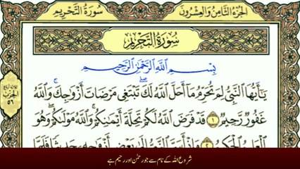 Surah At-Tahrim with Urdu Translation | Tafheem-ul-Quran سورة التحريم ترجمعہ Complete Surah At-Tahrim Urdu Translation | Tafheem-ul-Quran سورة التحريم Surah At-Tahrim Full Urdu Translation | Learn Quran with Tafheem-ul-Quran