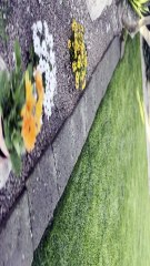 Il covo del gusto - Lucera