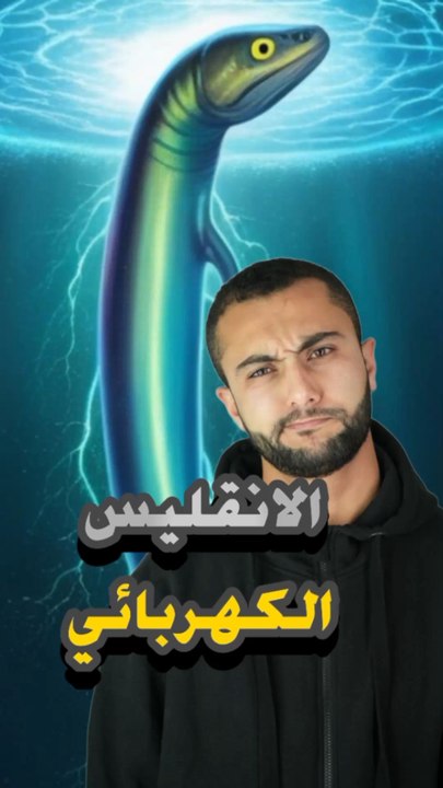 ⚡ كائن يقدر يولد كهرباء تكفي مصباح؟https://psce.pw/7qlfbj#النواة #الأنقليس_الكهربائي #Alnawa #dubai🇦🇪 #dubailife #Electrophorus_electricus #trending #travel #nature #wildlife