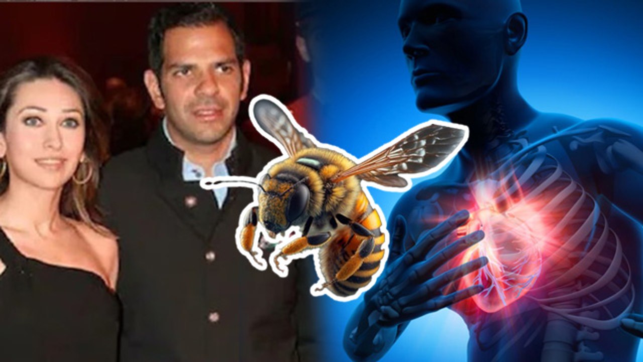 Sanjay Kapur Demise Reason: Karishma Kapoor Ex Husband को मधुमक्खी की वजह से आया Heart Attack ?