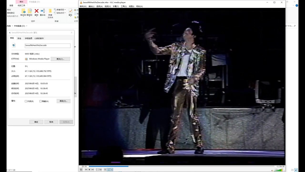Michael Jackson Seoul 1996 VHS Decode Rip