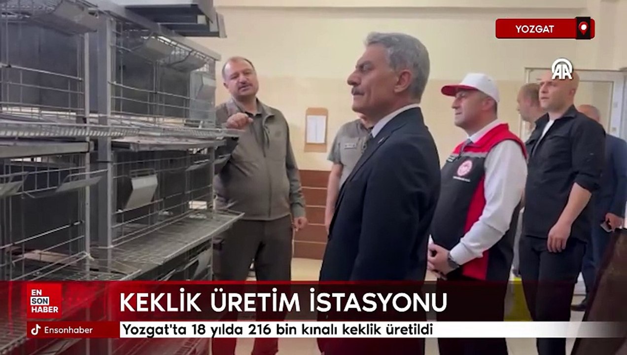 Yozgat'ta 18 yılda 216 bin kınalı keklik üretildi