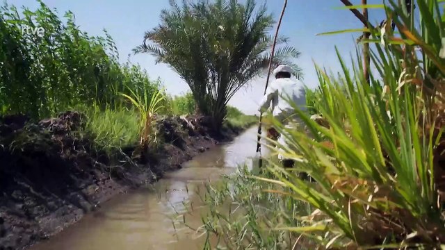 Civilizaciones antiguas: Descubre sus orígenes y legados únicos