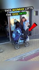 This woman lifts the dog into the baby stroller😥#shorts
