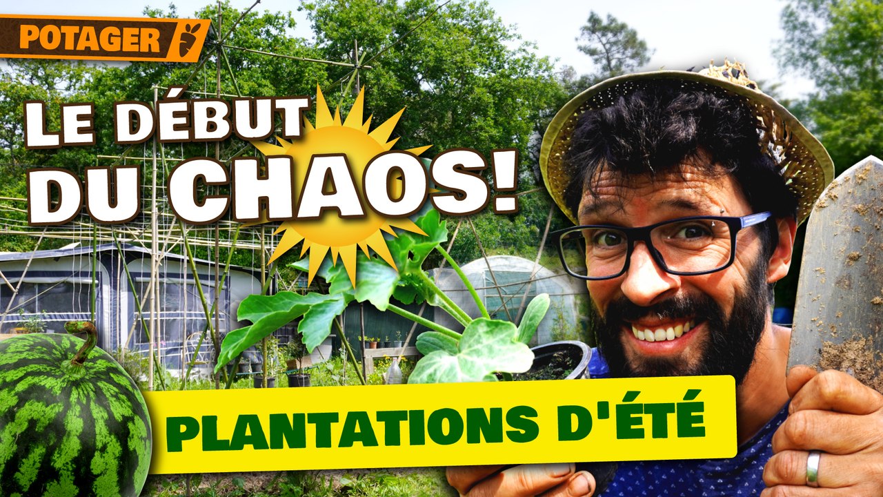 🌱 Le potager part en vrille ! 😱 Courges, tomates & plus encore ! 🍅🍉🔥