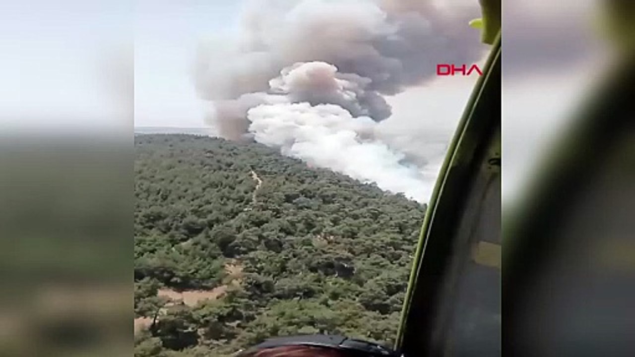 İzmir Foça’da orman yangını! Havadan ve karadan müdahale sürüyor
