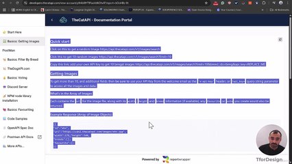 4 -Getting a Good Prompt and Building the First App Version