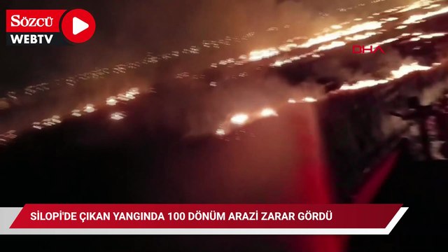Silopi'de çıkan yangında 100 dönüm arazi zarar gördü