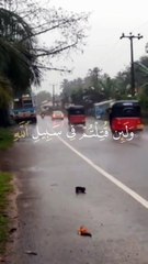 اكتب شيء ينفعك بعد موتك |تلاوة هادئة|