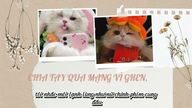 Truyện Audio Hay || Chia Tay Qua Mạng Vì Ghen, Không Ngờ Anh Là Nam Thần Trường Tôi || Thiên Thần Dắt Truyên