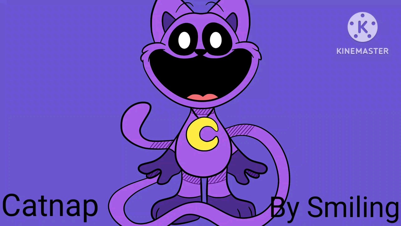 Cat Auditions