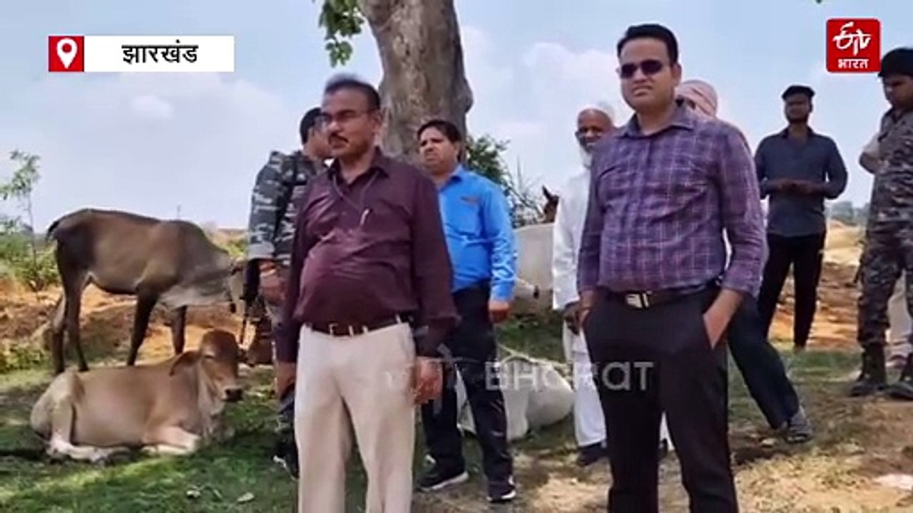 भू-माफियाओं पर प्रशासन का चला बुलडोजर, आदिम जनज...