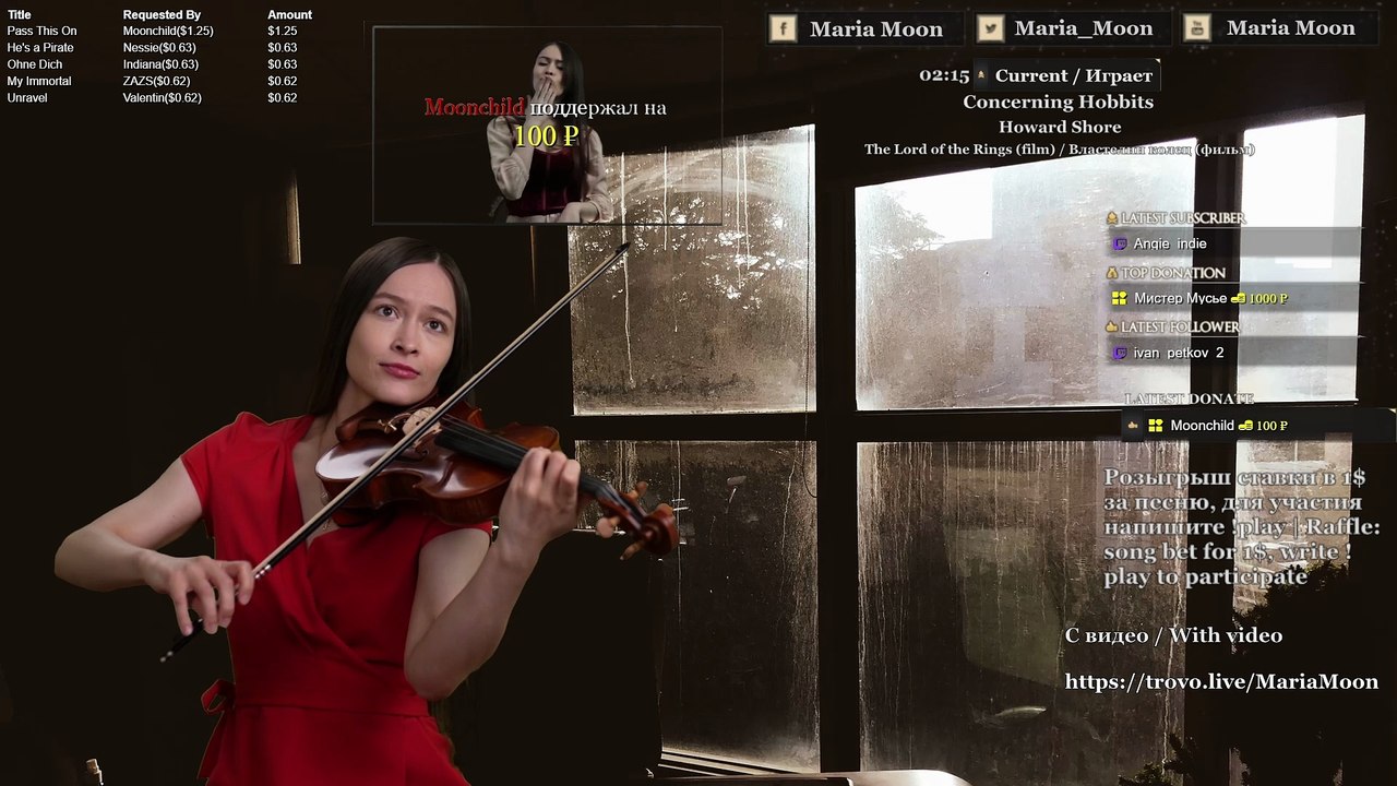 🎻 "Concerning Hobbits" – Violin Cover (The Lord of the Rings) | Howard Shore 🌿