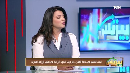 لماذا أصبح القمح المصري الأفضل في العالم؟ وكيف طورت الدولة زراعة الأرز؟