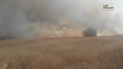 Incendio en Argamasilla de Calatrava (Ciudad Real).
