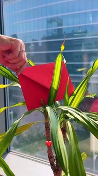 Fontana - Giornata mondiale dei donatori di sangue (14.06.25)