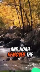 Genesis chapter 8 verse 12 to 22