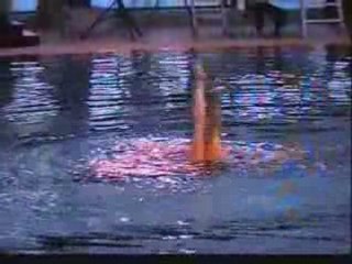 Championnat de France N1 2006 Willheim C Firminy