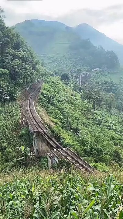 km_kereta api Argo Wilis