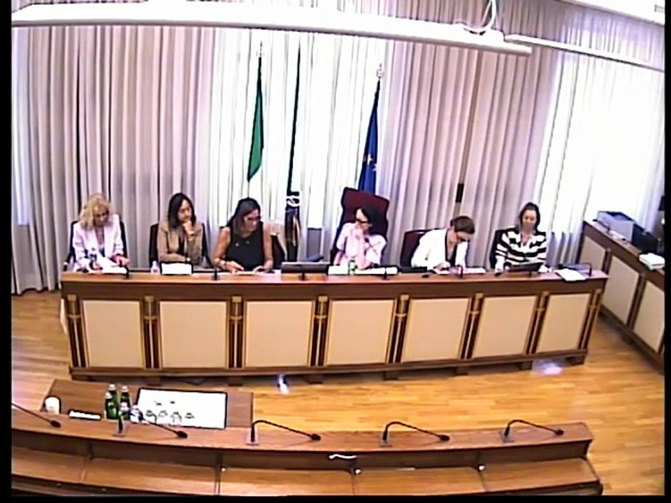 Roma - Audizioni rappresentanti di Unioncamere (18.06.25)