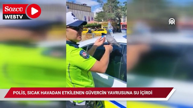 Polis, sıcak havadan etkilenen güvercin yavrusuna su içirdi