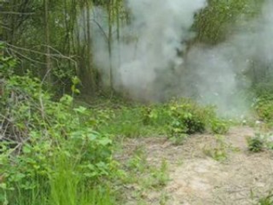Explosion dans les bois