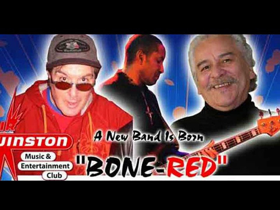 SHAKE THE FUNK  ( LEO BENNINK  FUNK / SOUL / RAP / R&B / ROCK )