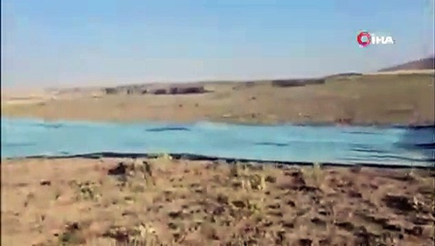 İki sıcak hava balonu peş peşe düştü: Ölü ve yaralılar var