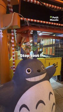 Un resto… ou un voyage sensoriel ? 🇯🇵✨Chez Isshin, chaque détail compte : décors immersifs, ambiance tamisée et plats japonais à tomber.©️ Crédit : Petit Mauda & isshin-ramen-officiel