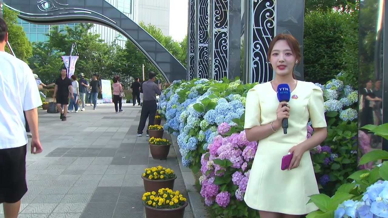 90만 송이 수국 만개...알록달록 수국 정원 '북적' / YTN