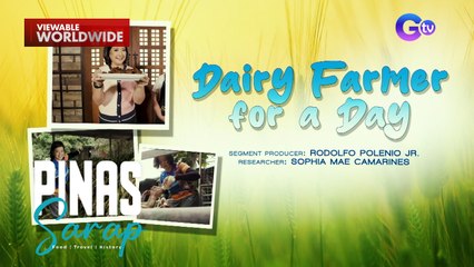 Kara David at Krissy Achino, sinubukan maging "Dairy Farmer for a Day" ! (Full Episode) | Pinas Sarap