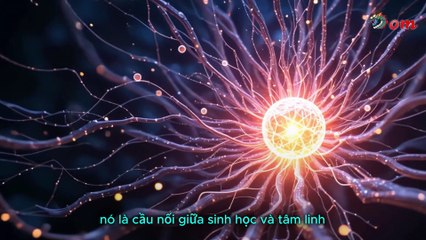 Khi Thiền Sâu Có Thể Mở Ra Cánh Cửa Vào Vũ Trụ Nội Giới?