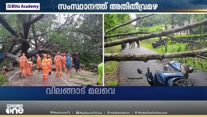 കോട്ടയത്ത് സ്കൂട്ടറിന് മുകളിൽ മരം വീണ് തോട്ടം തൊഴിലാളി മരിച്ചു; റോഡിൽ മരം വീണ് ഗതാഗത തടസപ്പെട്ടു