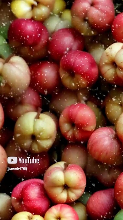 Ai # apple turn into parrot #freefire #garenagame # furite turn into animal