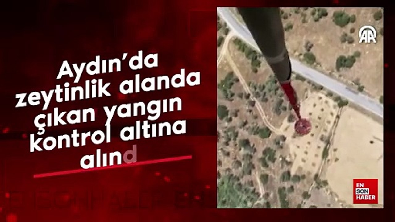 Aydın'da zeytinlik alanda çıkan yangın kontrol altına alındı