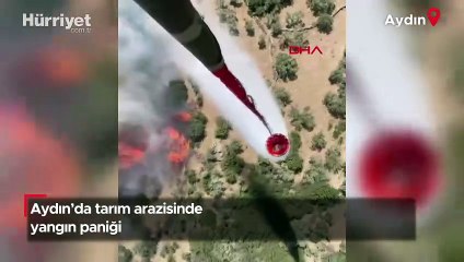 Aydın’da tarım arazisinde yangın paniği