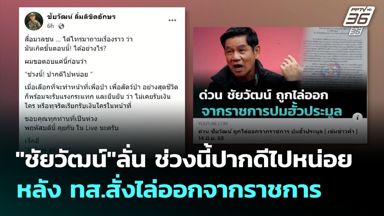 "ชัยวัฒน์"ลั่น ช่วงนี้ปากดีไปหน่อย หลัง ทส.สั่งไล่ออกจากราชการ | เข้มข่าวค่ำ | 15 มิ.ย. 68