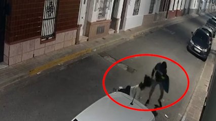 Detenido un hombre por un violento robo a una mujer en plena calle de Brenes (Sevilla)