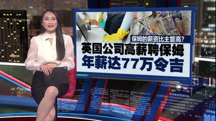 英国公司高薪招聘猫保姆，年薪达77万令吉！🐱