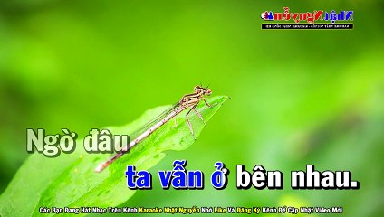 Lẻ Bóng Đường Tình Karaoke Tone Nam Nhạc Sống - Phối Mới Dễ Hát - Nhật Nguyễn