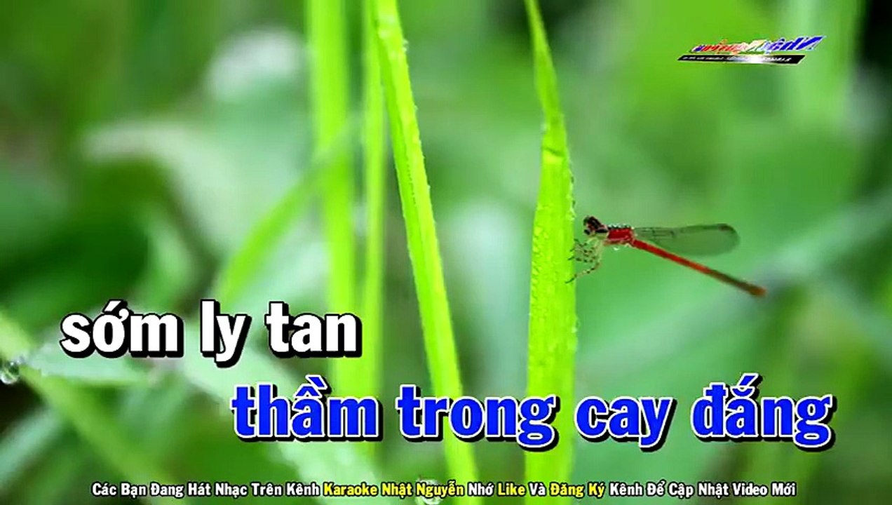 Lan Và Điệp 2 Karaoke Tone Nam Nhạc Sống - Phối Mới Dễ Hát - Nhật Nguyễn