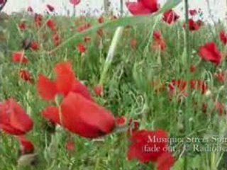 Corn Poppers in the Winds (Coquelicots dans le vent)