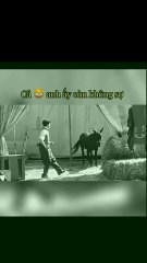 you like watch more video plz fallow and like