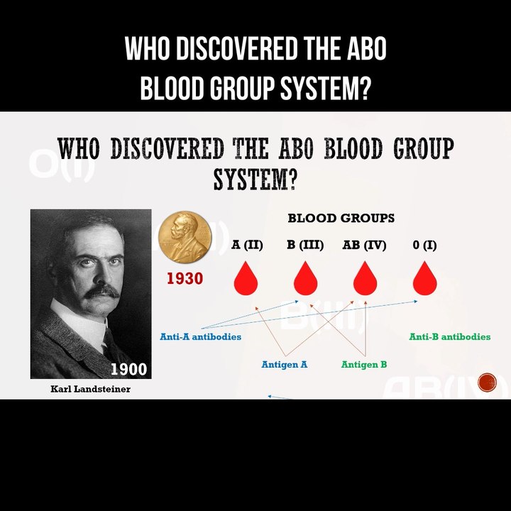 Who discovered the AB0 blood group system?