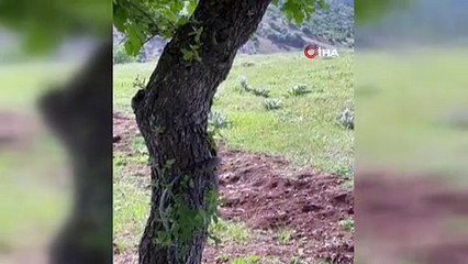 Serinlemek isterken yılanla karşılaştı!