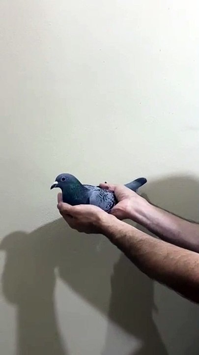 24-1308