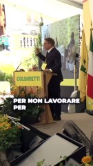 Lollobrigida - Con il Governo Meloni l’agricoltura è tornata centrale (15.06.25)
