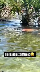 There's another reason why women live longer than men 😁😁