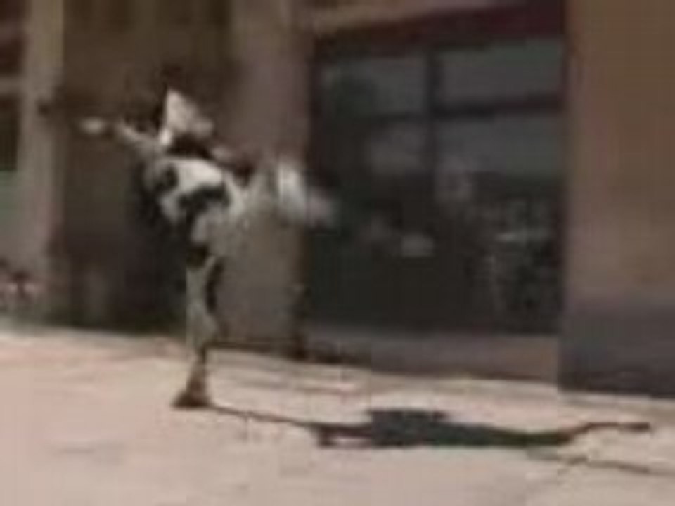 Vache_meuh