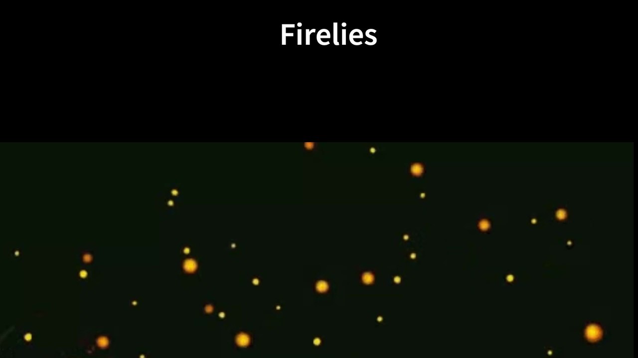 #fireflies